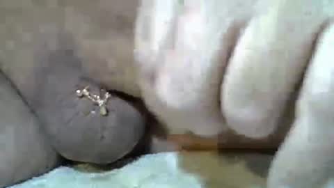 Kangarooh66 online show from 11-24-25, 07:52