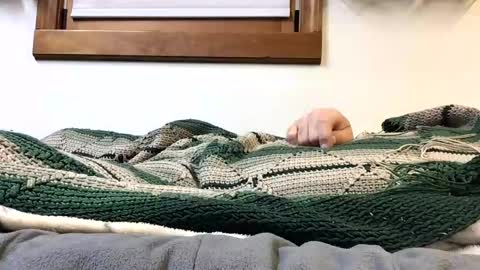 Snapshot of kansas_mastutbater chatting on 10-24-25, 02:30 kansas_mastutbater online show from 10-24-25, 02:30