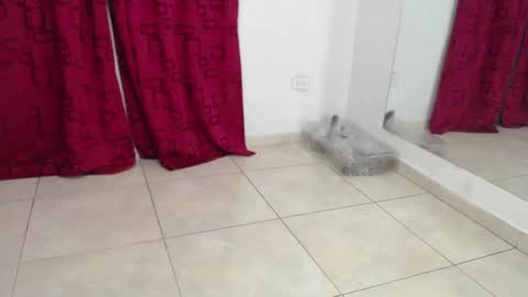 Snapshot of karinasimonz chatting on 03-02-25, 07:34 KarinaSimonz online show from 03-02-25, 07:34