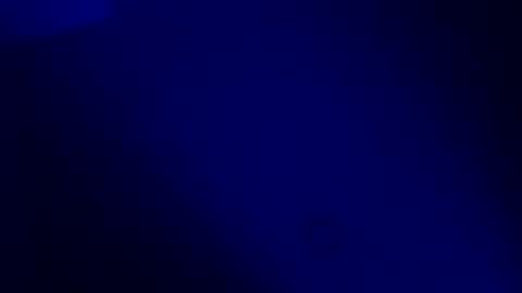 Karla Gonzaless online show from 11-19-25, 07:30