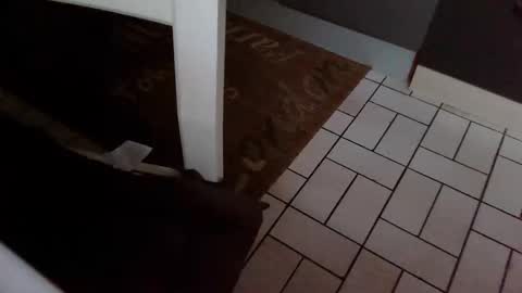 Kev online show from 10-31-25, 07:42