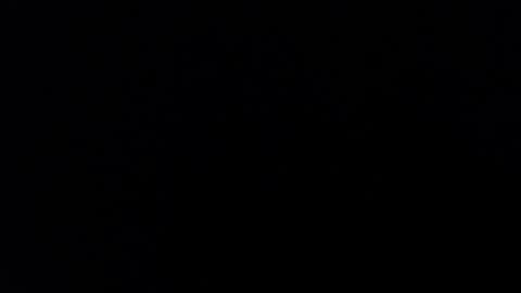 ARIANNA  online show from 01-31-25, 08:11