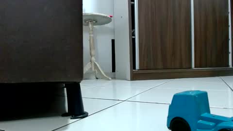 Tamires e Maicon online show from 10-09-25, 08:29