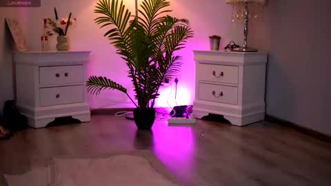 Kassidy online show from 02-11-26, 11:04