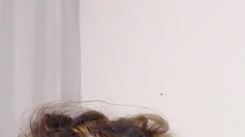 Help me with rate thanks  online show from 12-03-24, 05:09