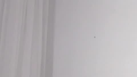 Help me with rate thanks  online show from 02-16-25, 05:15