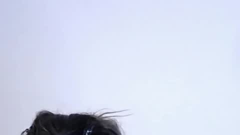 Help me with rate thanks  online show from 02-10-26, 11:20