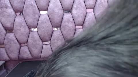 Snapshot of katherin_sweett chatting on 12-27-24, 07:46 katherin_sweett online show from 12-27-24, 07:46