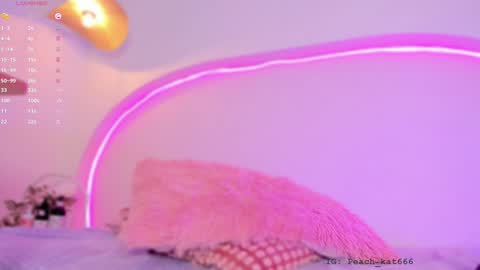 Snapshot of katiepeach_ chatting on 01-09-25, 04:39 Katy  IGPeach kat666 online show from 01-09-25, 04:39