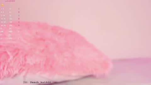 Snapshot of katiepeach_ chatting on 01-16-25, 03:35 Katy  IGPeach kat666 online show from 01-16-25, 03:35