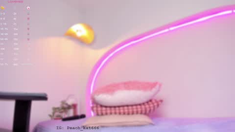 Snapshot of katiepeach_ chatting on 01-22-25, 03:40 Katy  IGPeach kat666 online show from 01-22-25, 03:40