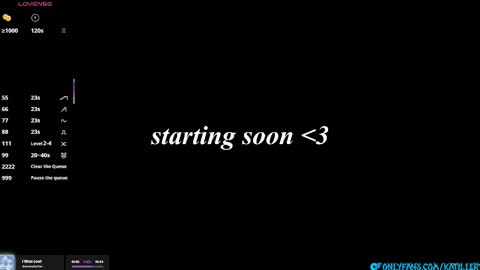 Katie online show from 01-16-26, 05:39