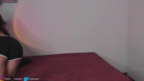 Kato online show from 04-24-26, 04:48