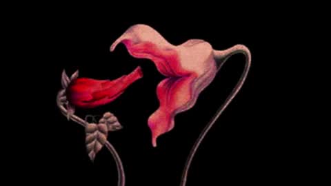 katsuro online show from 11-14-25, 09:24