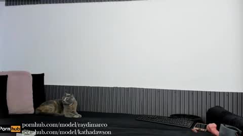 Snapshot of katt_diray chatting on 05-13-26, 01:30 katha Ray Independient Model online show from 05-13-26, 01:30