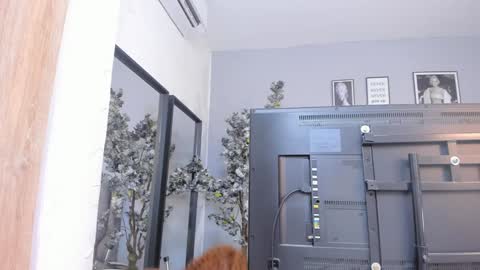 Katerine online show from 01-18-25, 10:28