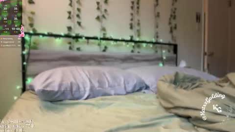 Snapshot of katxxgolding chatting on 11-14-25, 11:24 Princesse Kat online show from 11-14-25, 11:24