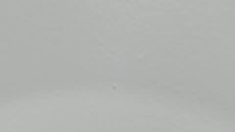 katy blonde girl and paola big boobs online show from 01-09-25, 02:01