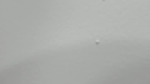 katy blonde girl and paola big boobs online show from 02-12-25, 01:52