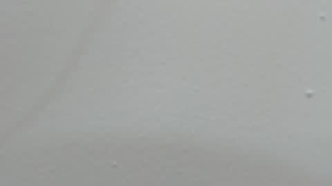 katy blonde girl and paola big boobs online show from 02-14-25, 07:44