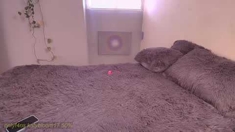    online show from 02-21-26, 04:08