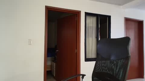 Kauri Lop online show from 12-13-24, 08:04