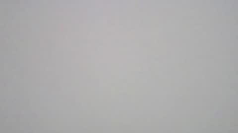 Snapshot of kawaiikuma2839 chatting on 10-25-25, 05:37 kuma online show from 10-25-25, 05:37