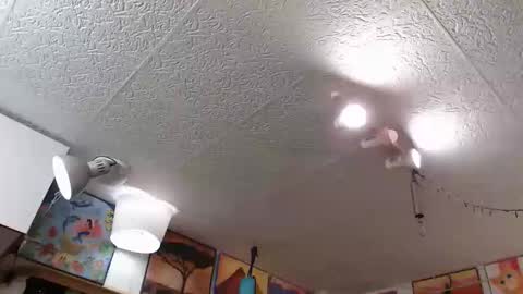 kelly online show from 04-24-26, 02:36