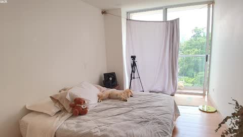 kendall online show from 03-10-26, 04:01