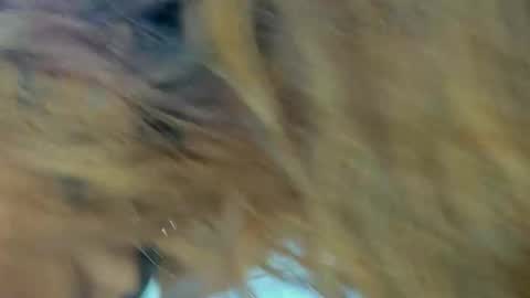 Snapshot of kendalstallyon chatting on 11-27-25, 09:28 Kendal online show from 11-27-25, 09:28