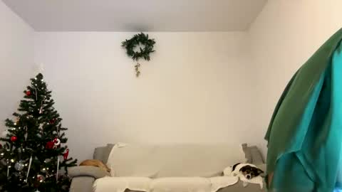 Snapshot of kennasoft chatting on 12-23-24, 01:03 Kenna next time online - 2nd of Dec online show from 12-23-24, 01:03