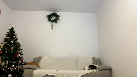 Snapshot of kennasoft chatting on 12-23-24, 04:06 Kenna next time online - 2nd of Dec online show from 12-23-24, 04:06