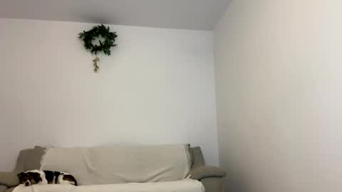 Snapshot of kennasoft chatting on 01-15-25, 12:04 Kenna next time online - 2nd of Dec online show from 01-15-25, 12:04