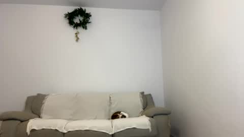 Snapshot of kennasoft chatting on 01-15-25, 06:08 Kenna next time online - 2nd of Dec online show from 01-15-25, 06:08