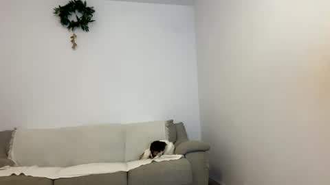 Snapshot of kennasoft chatting on 01-23-25, 03:43 Kenna next time online - 2nd of Dec online show from 01-23-25, 03:43