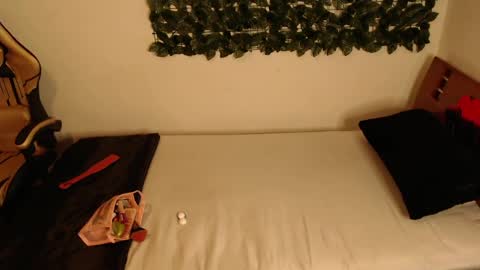 DANIELA online show from 04-02-26, 08:56