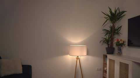 Kevin online show from 01-03-25, 11:46