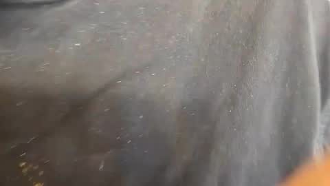 kevinevans448 online show from 09-09-25, 08:30