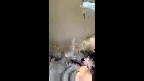 Snapshot of kevo495434 chatting on 04-13-26, 08:14 kevo495434 online show from 04-13-26, 08:14