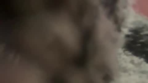 kg1726860 online show from 10-11-25, 06:50