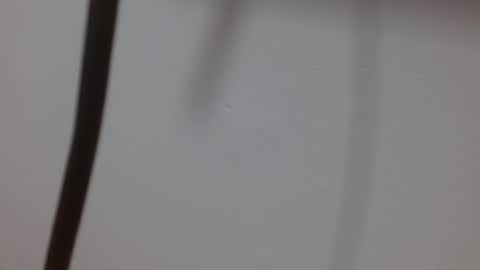 Melody online show from 10-03-25, 12:02