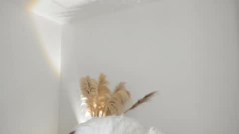 Kim Murphy online show from 10-18-25, 12:28