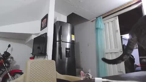 king_russo online show from 01-17-25, 03:12