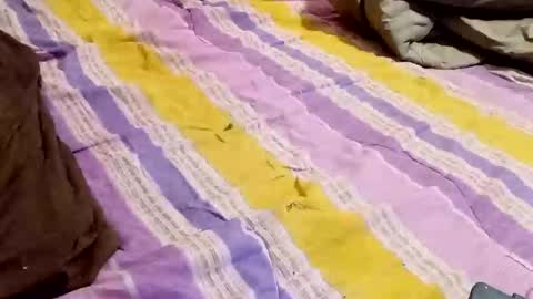 kingbat30 online show from 03-02-25, 12:42