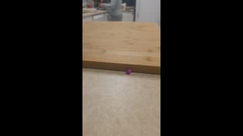 Maysie and Hunter online show from 03-16-26, 01:11