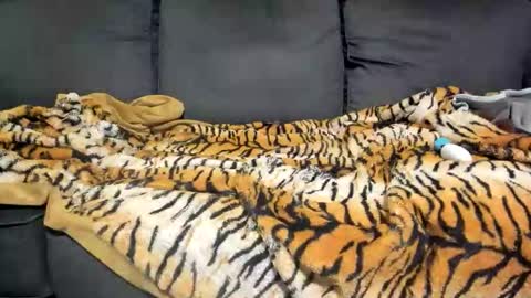 Kinky online show from 01-07-26, 09:12