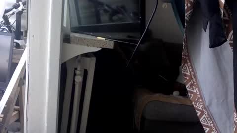 Kinky Himeros online show from 05-21-26, 03:30