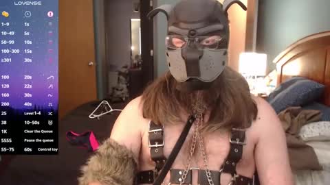 kinkywolf87 online show from 01-27-25, 08:49