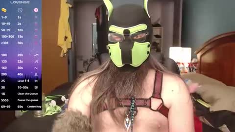 kinkywolf87 online show from 02-07-26, 07:39