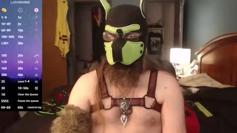 kinkywolf87 online show from 04-05-26, 05:43